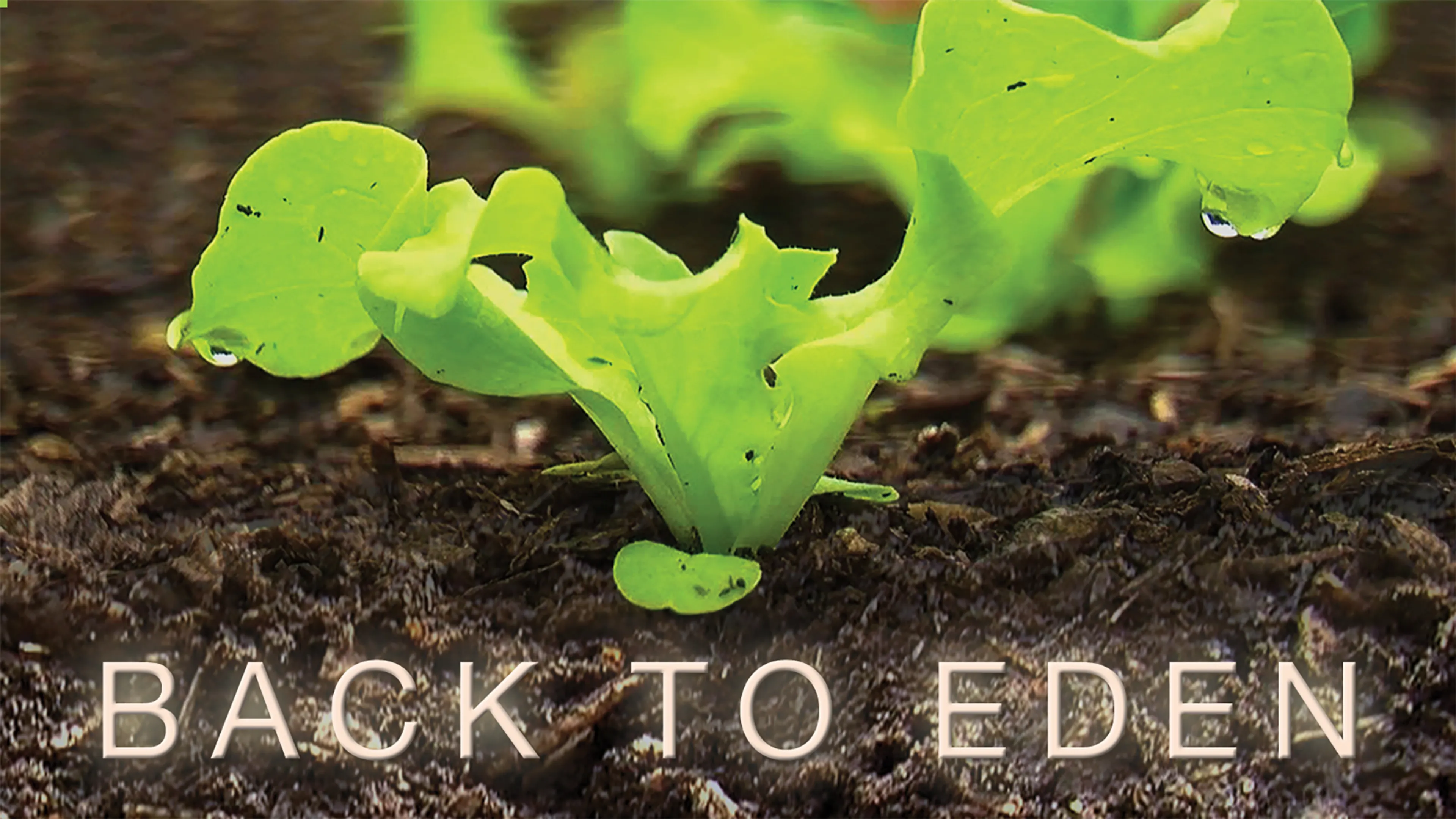 Back to Eden poster